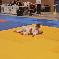 Fuchsturnier Cremlingen 004